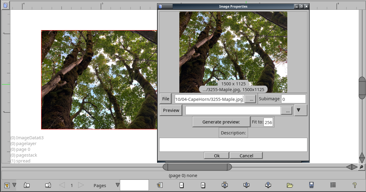 Screenshot showing an image object with the Image Info dialog