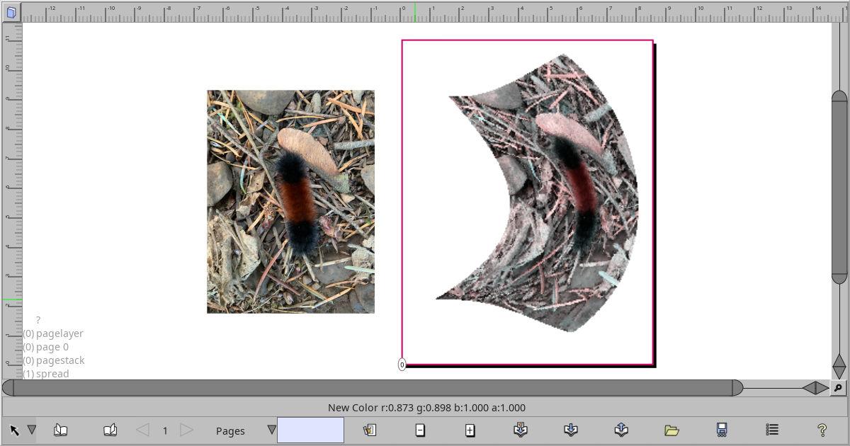 Warping an image of a wooly bear caterpillar